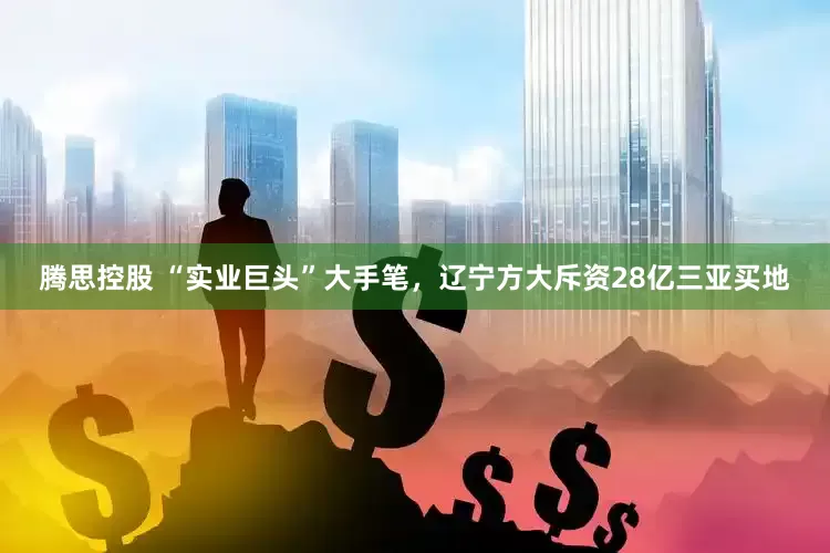 腾思控股 “实业巨头”大手笔，辽宁方大斥资28亿三亚买地