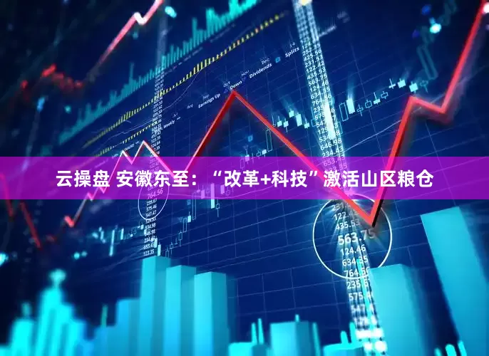 云操盘 安徽东至：“改革+科技”激活山区粮仓