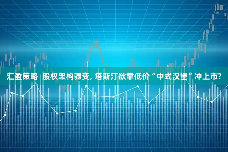 汇盈策略  股权架构骤变, 塔斯汀欲靠低价“中式汉堡”冲上市?