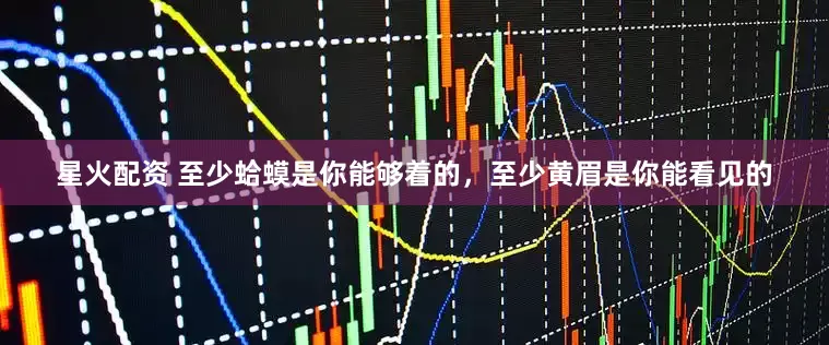 星火配资 至少蛤蟆是你能够着的，至少黄眉是你能看见的